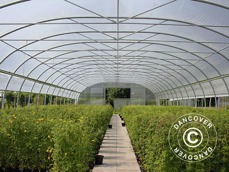 Kommersiell växthustunnel, 9,7x16x3,95m, Transparent