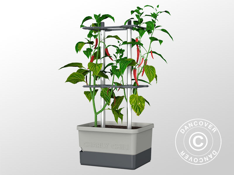 Planteringskruka, CHARLY CHILI, med klätterstöd och vattentank, Ljusgrå