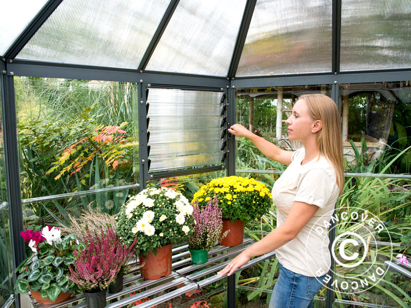 Orangeri polykarbonat OASIS, Sexkantigt 3,91m², Palram/Canopia, 2,13x2,47x2,67m, Antracit