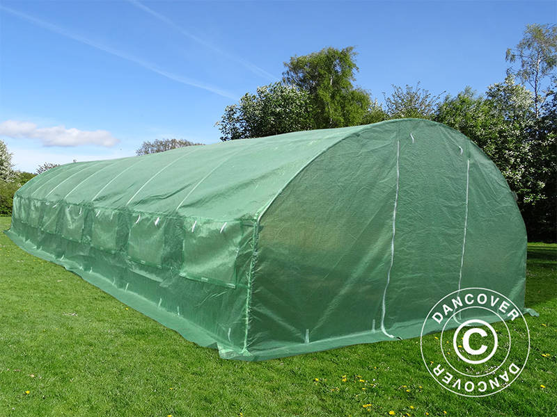 4x10,6x2m Greenhouse Tunnel Transp. PE Green