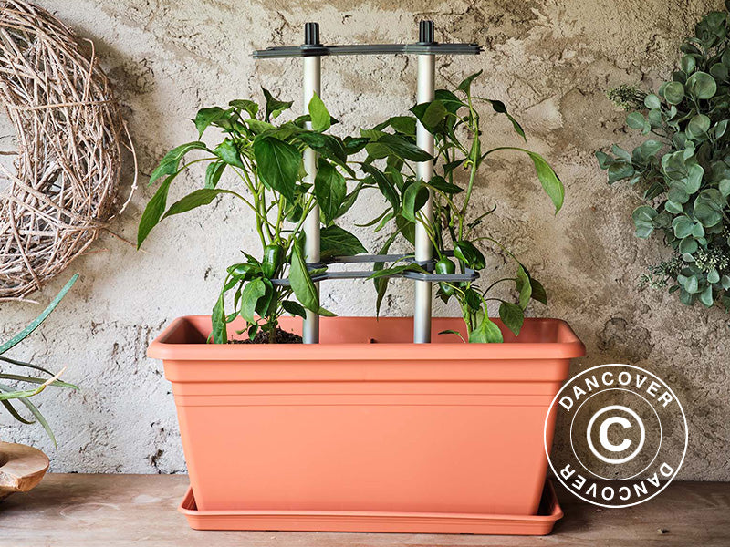 Klätterstöd, CHILI BUDDY, Antracit/Silver