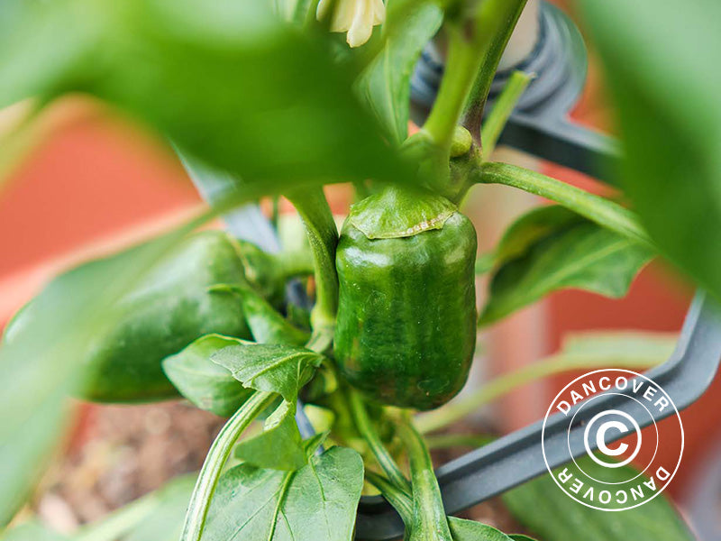 Klätterstöd, CHILI BUDDY, Antracit/Silver